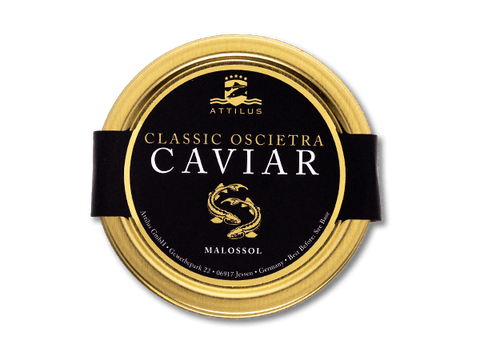 Attilus-Classic-Oscietra-