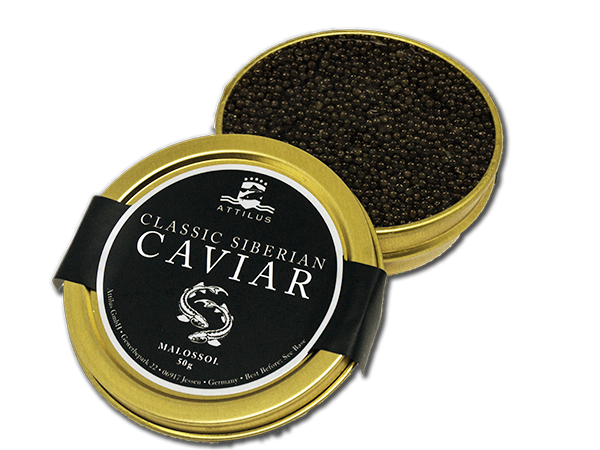 Classic Siberian Caviar - Acipenser Baerii - BUY NOW! – Attilus