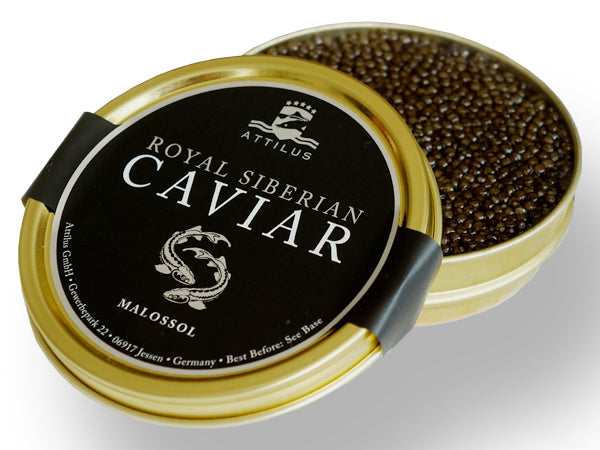 Attilus Caviar Royal Oscietra Caviar (30g)