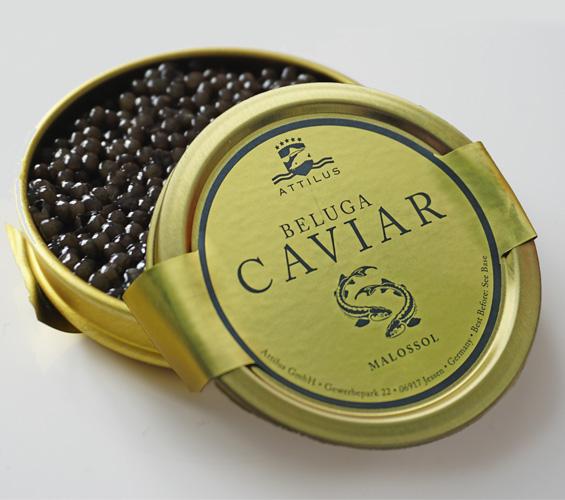 Beluga Caviar – Attilus Kaviar S