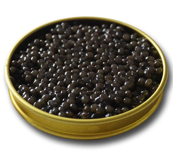 Beluga Caviar – Attilus Kaviar S